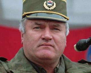 В Сербии полиция пресекла митинги в поддержку Младича