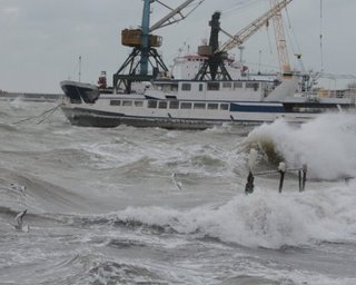 Крым страдает от непогоды из-за разрушения ландшафтов, - эколог