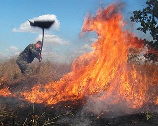 В Луганской области сгорело 20 га травы и 4 дома