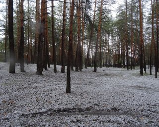 В Ровенской области выпал град величиной с куриное яйцо