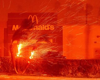 Возмутил жителей Лос-Анджелеса: миллионер предложил денег пожарным, чтобы они спасли его дом