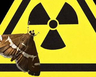 Манифестанты требовали закрытия французской АЭС 