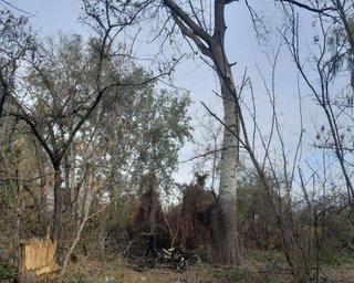 "Шахед" збитий на підльоті: під Полтавою спрацювала природна "ППО" (фото)