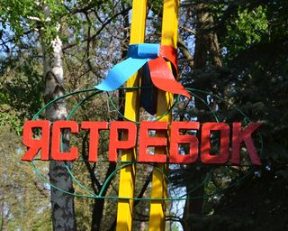 В детском лагере в Донецкой области отравилось 84 человека