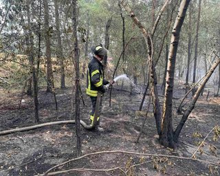 Открытого огня в лесах Луганской области уже не наблюдается, – ГСЧС
