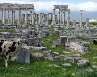 Без РФ не обошлось: в Сирии разграбили древний город времен Александра Македонского