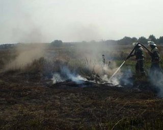 Дым над Киевом: что рекомендуют врачи