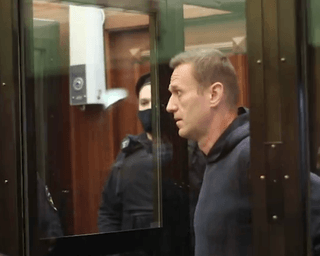 Дипломаты из 15 стран – без Украины – прибыли на суд над Навальным (видео)