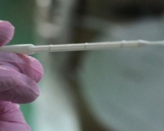 В Украине циркулируют пять штаммов коронавируса, – ЦОЗ