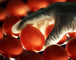 Производитель яиц намерен привлечь до $31 млн. в ходе IPO