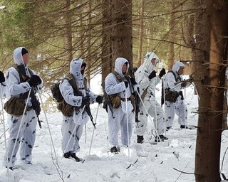Расстреляли авто и заминировали дерево: появились кадры с места атаки "украинской ДРГ" в РФ