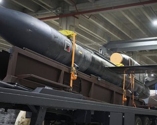 Миндич хотел получить 50% компании, производящей ракеты "Фламинго", — совладелец Fire Point
