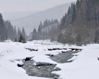Янукович просил Медведева помочь с Олимпиадой в Карпатах
