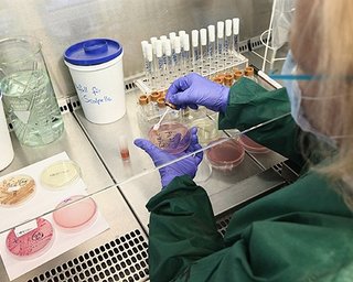 Источник кишечной инфекции в Европе точно установлен