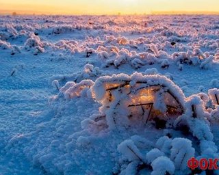В Украине насмерть замерзли 27 человек