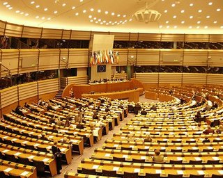 Выборы в Украине вызвали обеспокоенность депутатов Европарламента