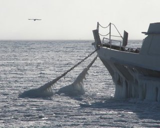 Убытки от шторма в Ялте и Алуште составили 16 млн. гривен