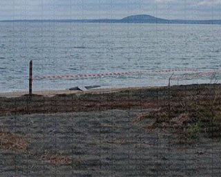 У Болгарії виявили уламки дрона невідомого походження: яка реакція людей, — медіа (фото, відео)