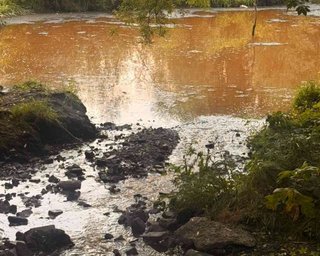 У Києві після ударів РФ водойми отруєні нафтопродуктами, олією, хромом: що робить влада (відео)