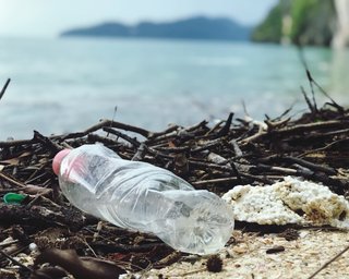 В ОК "Юг" призвали украинцев не собирать мусор с моря и назвали причину (видео)