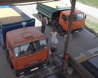 В Кабмине заметили падение экспорта сельхозпродукции