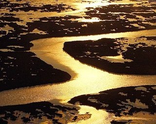 Взрыв нефтеплатформы в США: утечки нефти не обнаружено  
