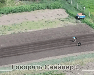 На Донбасі місцеві саджають картоплю, поки на сусідніх вулицях тривають штурми (відео)