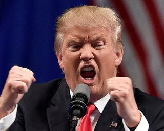 Вся президентская рать. Кто есть кто в команде Дональда Трампа