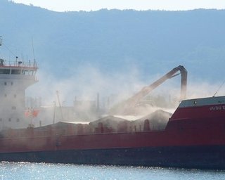 Экспортировать украинское зерно будут корабли стран Черноморского региона, — Кубраков