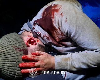 Ситуация на белорусско-польской границе: польские силовики применяют оружие, — Белта (фото, видео)