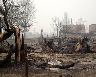 В степях Украины полыхают пожары, огонь подобрался к домам