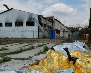 Знищили докази: розвідка з'ясувала, чому окупанти вбили полонених українців в Оленівці