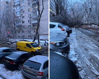 Непогода в Киеве: из-за сильного ветра падают деревья, а улицы столицы стали "катком" (видео)