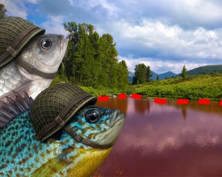 Украина без щуки и леща, но с "пришельцами": как происходит оккупация водоемов