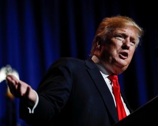 Трамп пригласил Зеленского в Вашингтон