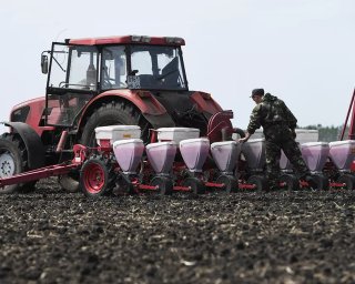 Дефицит продуктов и рост цен: в РФ просят дать отсрочку призывникам из агросектора