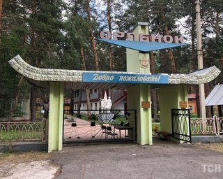 Минздрав назвал причину массового отравления в детском лагере "Орленок"