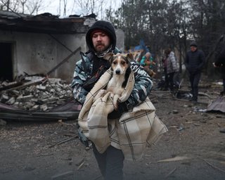 В Запорожье ВС РФ попали по собачьему приюту: устроили "ужасный террор", — горсовет (фото)