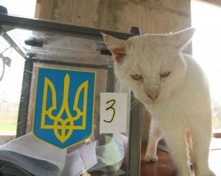 В Одессе члены избиркома напились и сломали урну с бюллетенями