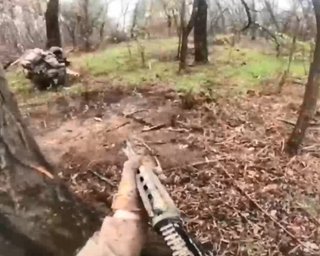 Пробираються крізь хащі: морпіхи показали, як зупиняють росіян під Кринками на Херсонщині (відео)