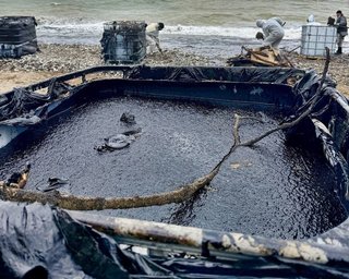 Нафтова пляма з Туапсе наближається до палацу Путіна в Геленджику