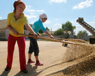 Ембарго або членство в Євросоюзі: у Польщі придумали, як Україні вирішити зернову кризу