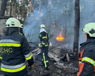 Для ліквідації лісових пожеж: Україна відправила 70 рятувальників до Франції (відео)