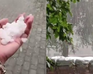 На Днепр обрушилась непогода: идет град, а ветер валит деревья — где еще прогнозируют опасность (видео)