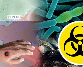 Сибирская язва в Херсонской области: что рассказали Фокусу в ГУР и СНБО о новой угрозе