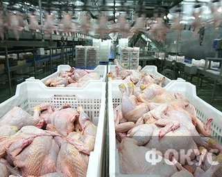Больше всего в 2011 году подорожала курятина