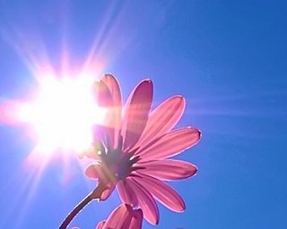 Погода: завтра - жара до +37°С