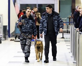 Домодедово: взрывчатка была закреплена на поясе террориста