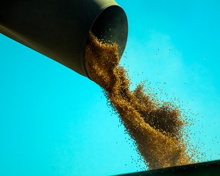 Удар по валютной выручке: какое влияние окажет на агросектор блокировка портов