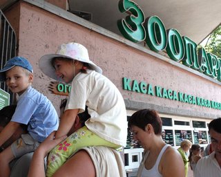 Слона в Киевский зоопарк привезут на самолете